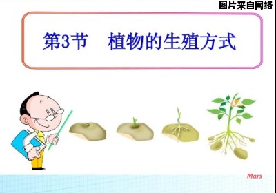 植物的繁殖方式简识图