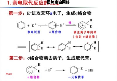 苯的反应类型及机理有哪些？