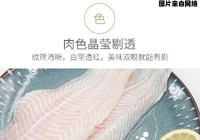 巴沙鱼美食百变 全新创意菜谱大公开