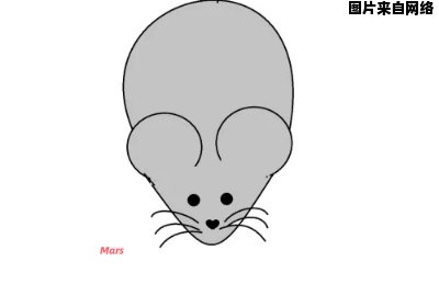 如何绘制一个爱吃的小老鼠