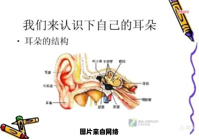 耳目受到外界影响和耳目深受熏陶