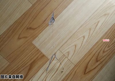 地板损坏了一块，应该如何妥善处理