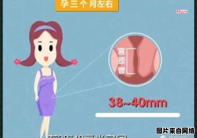 母体宫颈管长度测量结果为2.9厘米