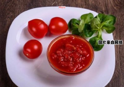 制作美味简易番茄酱的秘诀与技巧