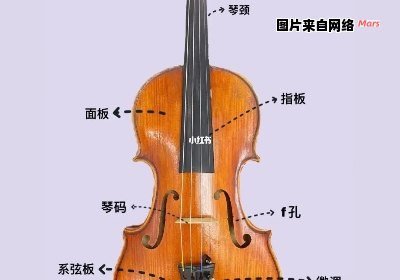 小提琴是由几根琴弦构成的？