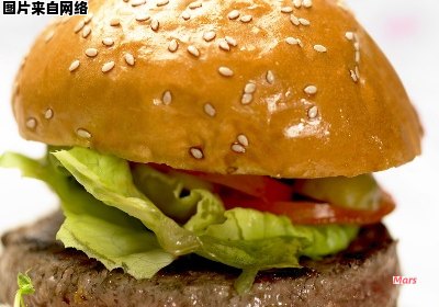 汉堡包在英文中被称为何种食物