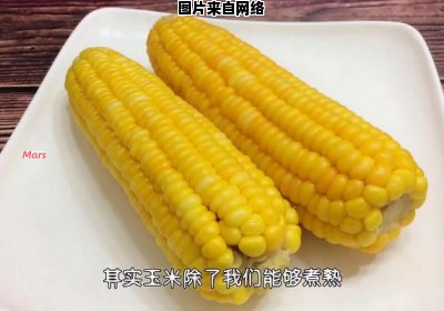 玉米煮熟所需的适宜时间是多久？