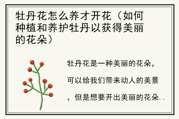 牡丹花怎么养才开花（如何种植和养护牡丹以获得美丽的花朵）.jpg