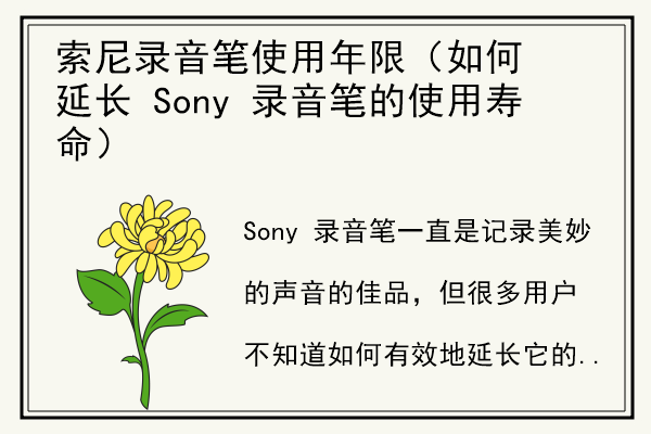 索尼录音笔使用年限（如何延长 Sony 录音笔的使用寿命）.jpg