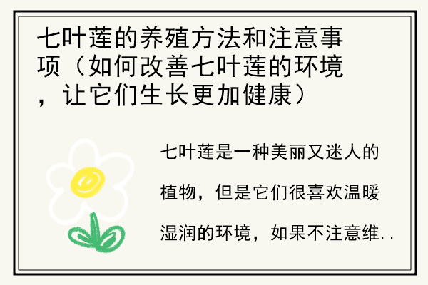 七叶莲的养殖方法和注意事项（如何改善七叶莲的环境，让它们生长更加健康）.jpg