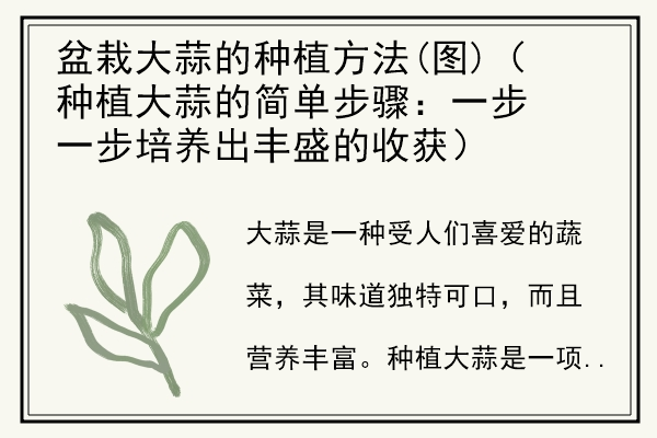 盆栽大蒜的种植方法(图)（种植大蒜的简单步骤：一步一步培养出丰盛的收获）.jpg