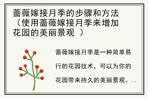 蔷薇嫁接月季的步骤和方法（使用蔷薇嫁接月季来增加花园的美丽景观 ）.jpg