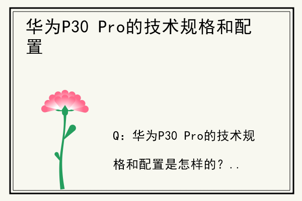 华为P30 Pro的技术规格和配置.jpg