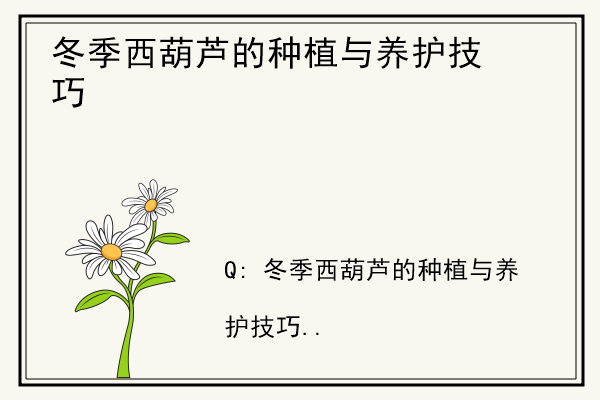 冬季西葫芦的种植与养护技巧.jpg