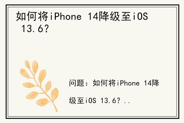 如何将iPhone 14降级至iOS 13.6？.jpg